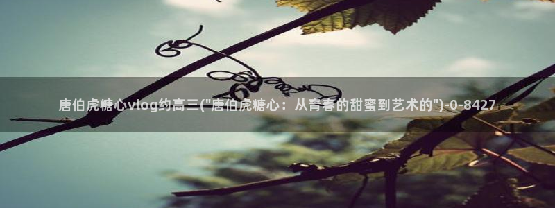 糖心.vlog：唐伯虎糖心vlog约高三(\