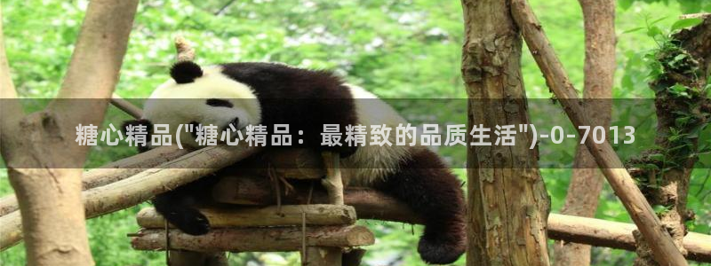 心糖vlog视频：糖心精品(\