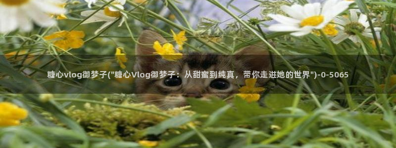 糖心vlog直接进入：糖心vlog御梦子(\