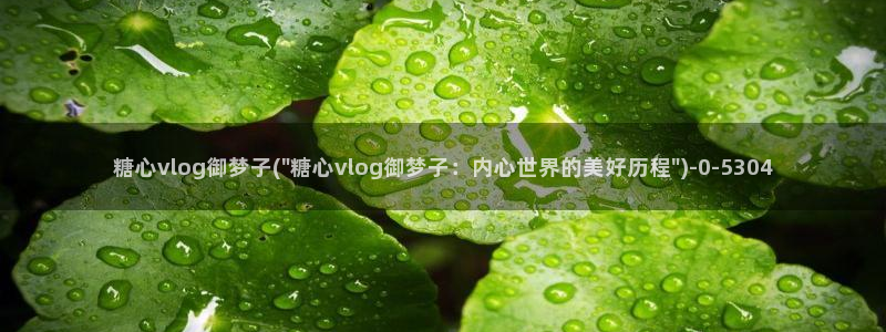 糖心vlog出品：糖心vlog御梦子(\