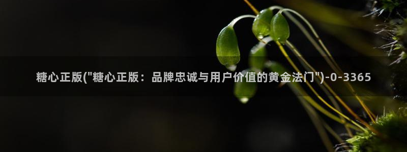 糖心视频vlog：糖心正版(\