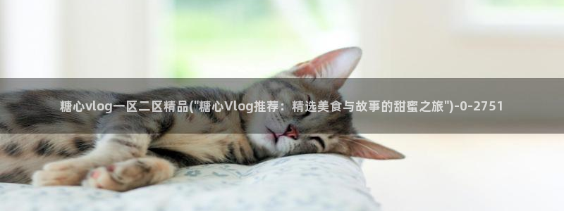 糖心vlog颜值排行：糖心vlog一区二区精品(\