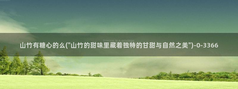 糖心vlog精品